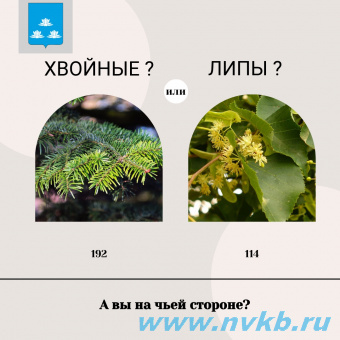 В официальной группе Новокуйбышевска проходит опрос по теме озеленения